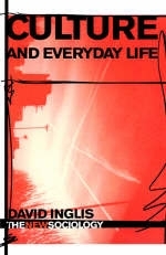 Culture and Everyday Life -  David Inglis