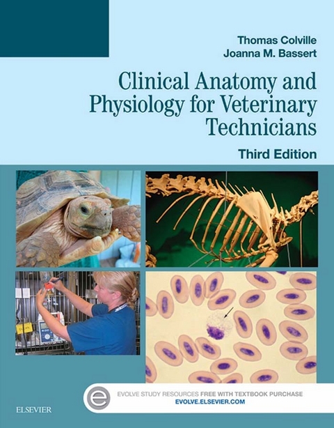 Clinical Anatomy and Physiology for Veterinary Technicians -  Joanna M. Bassert,  Thomas P. Colville
