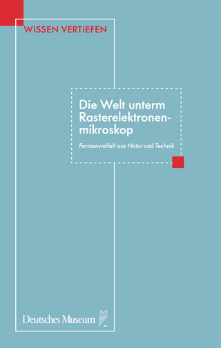 Die Welt unterm Rasterelektronenmikroskop