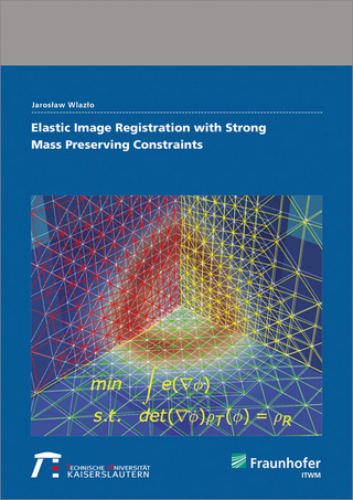 Elastic Image Registration with Strong Mass Preserving Constraints.