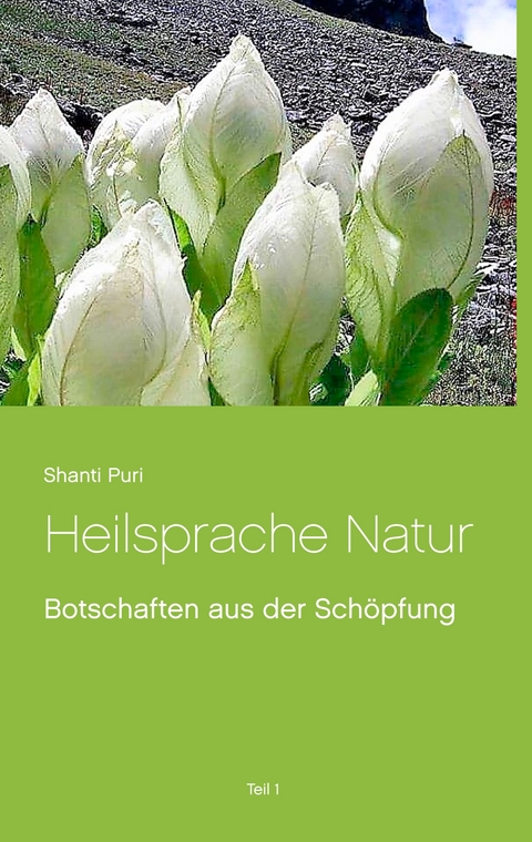 Heilsprache Natur - Shanti Puri