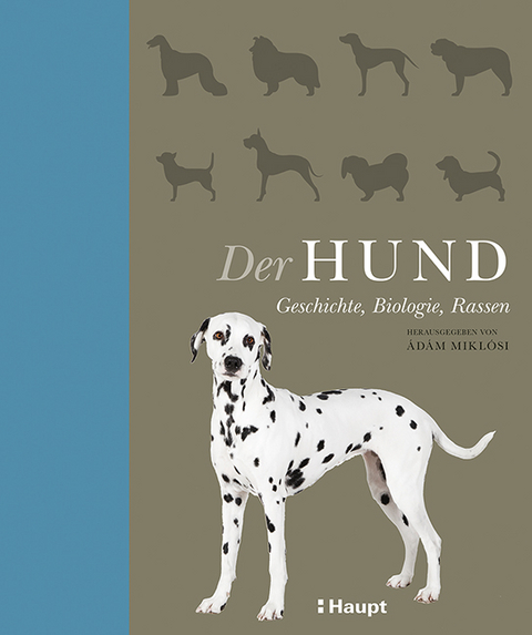 Der Hund - 