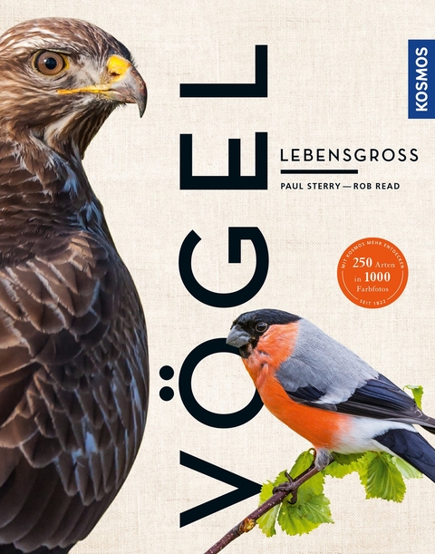 V&ouml;gel lebensgro&szlig; - Paul Sterry, Rob Read