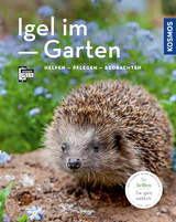 Igel im Garten (Mein Garten) - Neumeier, Monika