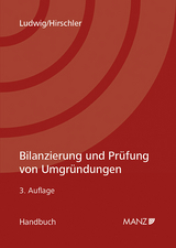Bilanzierung und Prüfung von Umgründungen - Christian Ludwig, Klaus Hirschler