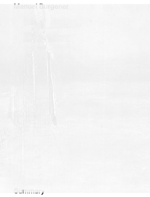 Summary - Manuel Burgener