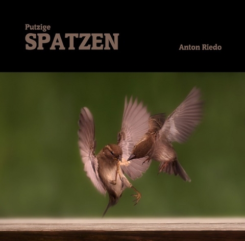 Spatzen - Anton Riedo