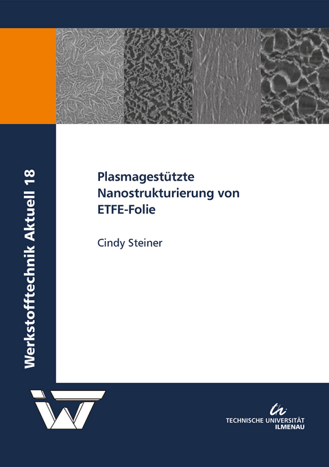 Plasmagest&uuml;tzte Nanostrukturierung von ETFE-Folie - Cindy Steiner