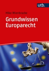 Grundwissen Europarecht - Mike Wienbracke