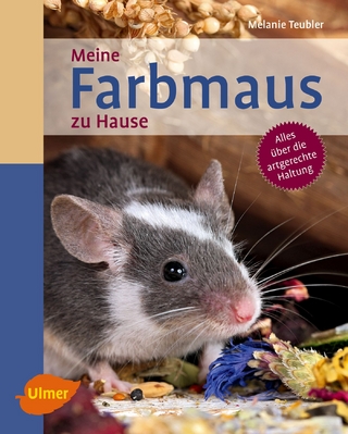 Meine Farbmaus zu Hause