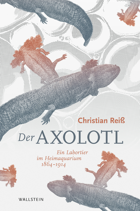 Der Axolotl - Christian Rei&szlig;