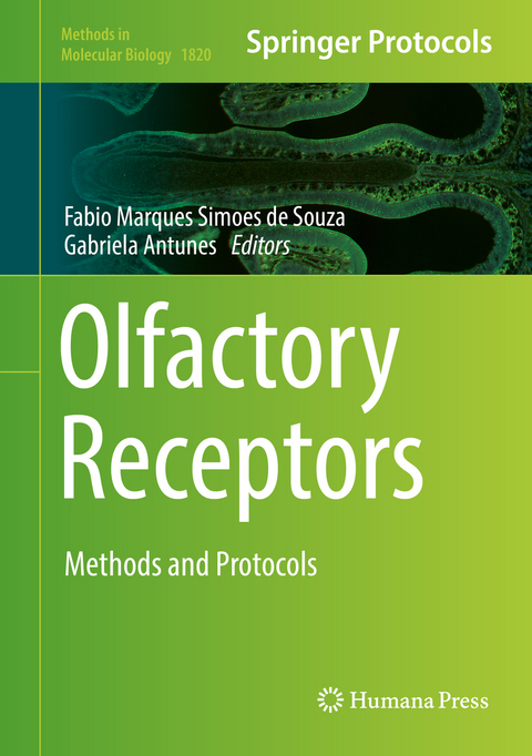Olfactory Receptors - 