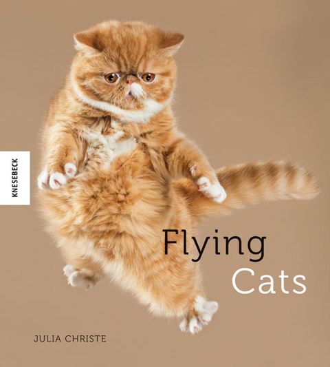 Flying Cats - Julia Christe