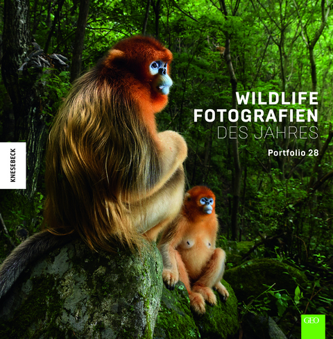 Wildlife Fotografien des Jahres &ndash; Portfolio 28 -  Natural History Museum