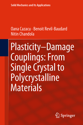 Plasticity-Damage Couplings: From Single Crystal to Polycrystalline Materials