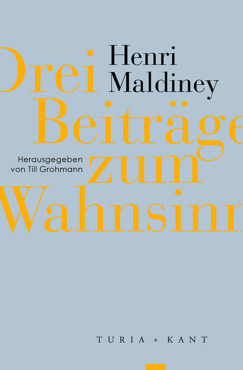 Drei Beitr&auml;ge zum Wahnsinn - Henri Maldiney
