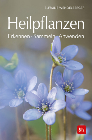 Heilpflanzen