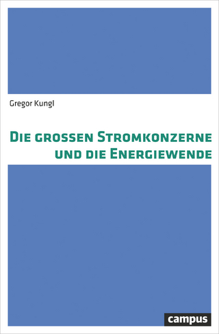 Die großen Stromkonzerne und die Energiewende
