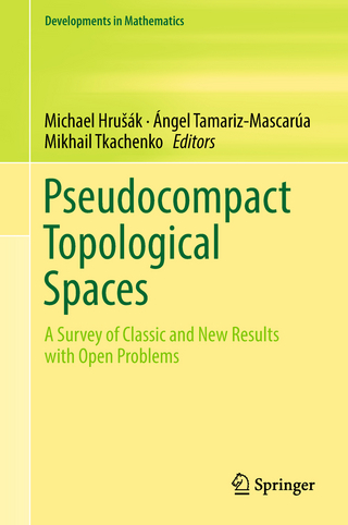 Pseudocompact Topological Spaces