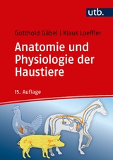 Anatomie und Physiologie der Haustiere - Gäbel, Gotthold; Loeffler, Klaus