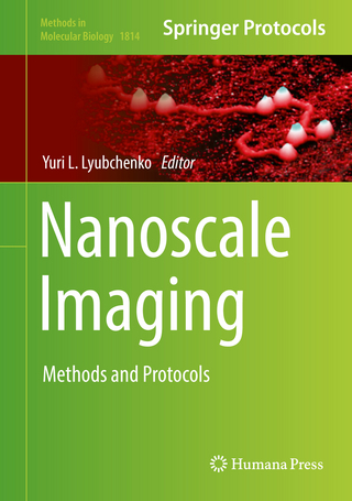 Nanoscale Imaging