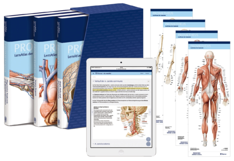 PROMETHEUS LernPaket Anatomie - 
