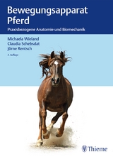 Bewegungsapparat Pferd - Wieland, Michaela; Schebsdat, Claudia; Rentsch, Jörne