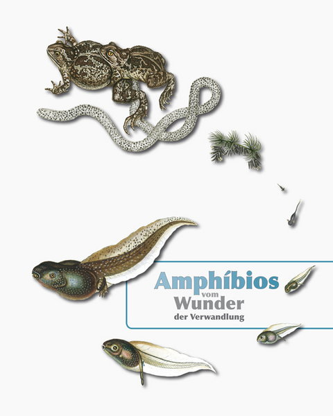 Amphibios - Vom Wunder der Verwandlung - Fritz J&uuml;rgen Prof. Obst