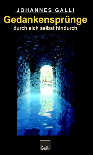 Gedankensprünge durch sich selbst hindurch (Band 3)