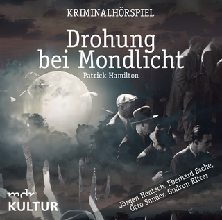 Drohung bei Mondlicht (Krimi-Hörspiel)
