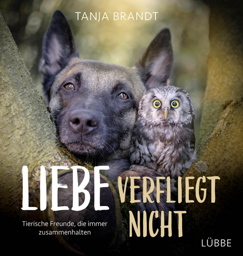 Liebe verfliegt nicht - Tanja Brandt