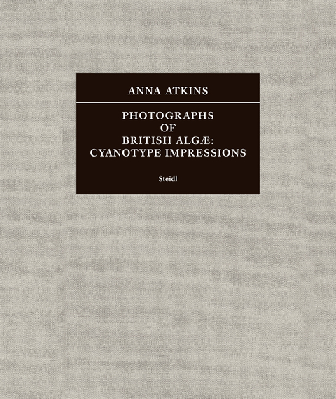 Photographs of British Alg&aelig;: Cyanotype Impressions (Sir John Herschel&rsquo;s Copy) - Anna Atkins