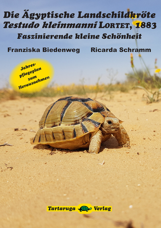 Die Ägyptische Landschildkröte Testudo kleinmanni Lortet, 1883
