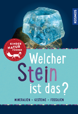 Welcher Stein ist das? Kindernaturführer - Hochleitner, Dr. Rupert