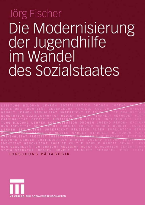 Die Modernisierung der Jugendhilfe im Wandel des Sozialstaates - J&ouml;rg Fischer