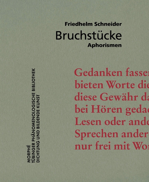 Bruchst&uuml;cke - Friedhelm Schneider