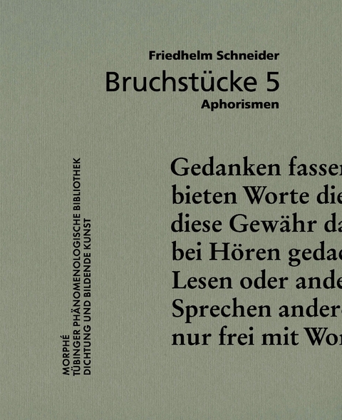 Bruchst&uuml;cke 5 - Friedhelm Schneider