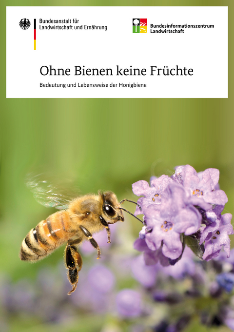 Ohne Bienen keine Fr&uuml;chte - Otto Boecking, Werner Von Der Ohe