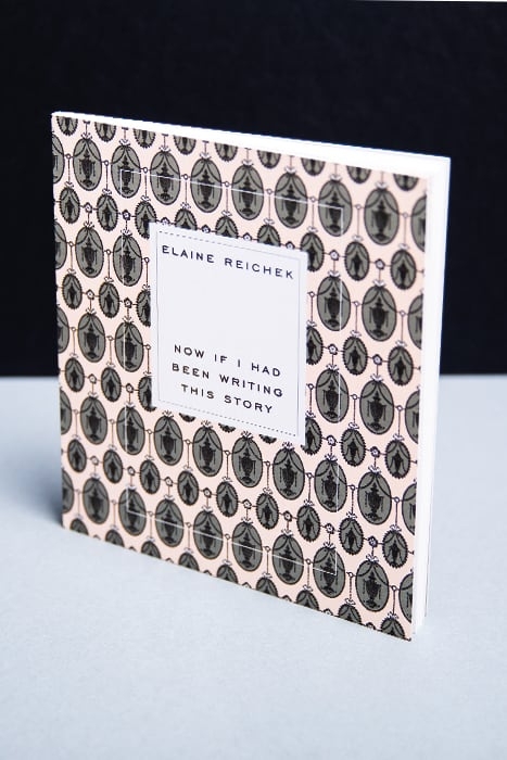 Now If I Had Been Writing this Story. - Elaine Reichek