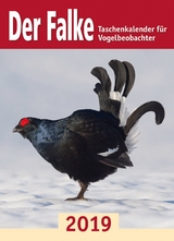 Der Falke-Taschenkalender für Vogelbeobachter 2019 - Redaktion Der Falke