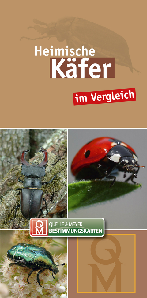 Heimische K&auml;fer