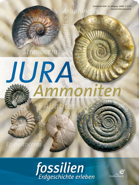 Fossilien Sonderheft "Jura-Ammoniten" - G&uuml;nter Schweigert
