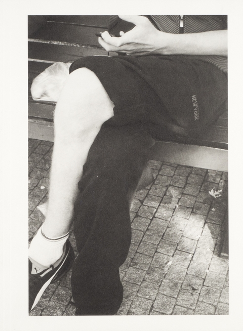 M&aacute;j/My - Stephanie Kiwitt