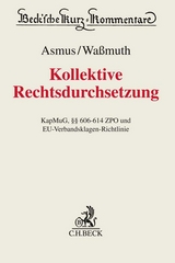 Kollektive Rechtsdurchsetzung - 