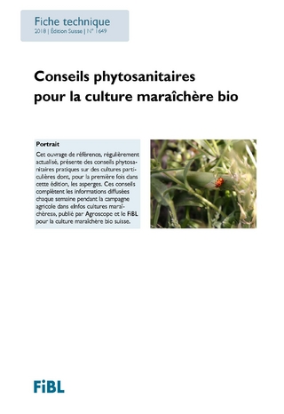Conseils phytosanitaires pour la culture maraîchère bio