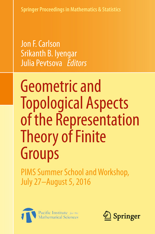 Geometric and Topological Aspects of the Representation Theory of Finite Groups