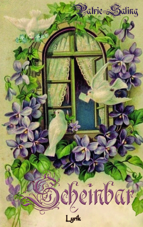 Scheinbar - Patric Saling