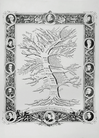 Stammbaum des Geigenbaus