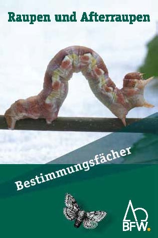 Raupen und Afterraupen - James Connel, Bernhard Perny, Gottfried Steyrer