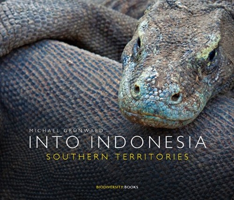 Into Indonesia - Michael Gr&uuml;nwald
